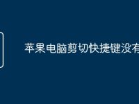 苹果电脑剪切快捷键没有用-路由网