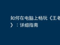 如何在电脑上畅玩《王者荣耀》:详细指南-路由网
