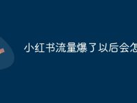 小红书流量爆了以后会怎么样-路由网