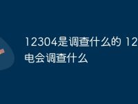 12304是调查什么的 12304来电会调查什么-路由网