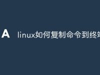 linux如何复制命令到终端-路由网