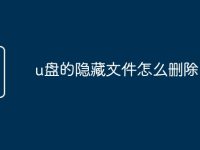 u盘的隐藏文件怎么删除-路由网