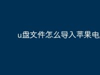 u盘文件怎么导入苹果电脑?-路由网