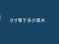 8寸等于多少厘米-路由网
