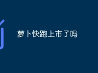 萝卜快跑上市了吗-路由网