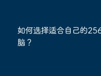 如何选择适合自己的256GB电脑？-路由网