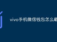 vivo手机微信钱包怎么截图-路由网