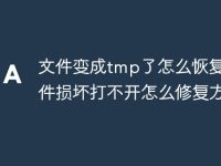 文件变成tmp了怎么恢复_文件损坏打不开怎么修复方法-路由网