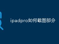 ipadpro如何截图部分-路由网