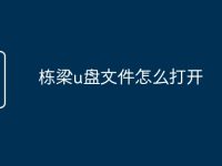 栋梁u盘文件怎么打开-路由网