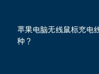 苹果电脑无线鼠标充电线是哪种？-路由网