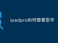 ipadpro如何查看型号-路由网