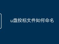 u盘投标文件如何命名-路由网