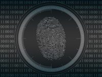 学信网怎么进行实人认证-路由网
