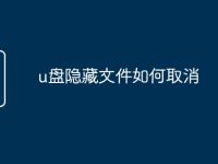 u盘隐藏文件如何取消-路由网