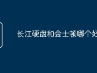 长江硬盘和金士顿哪个好-路由网