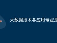 大数据技术与应用专业是什么-路由网