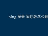 bing 搜索 国际版怎么翻译-路由网