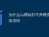 为什么iis网站打不开网页无法访问-路由网