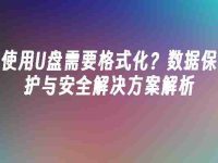 使用U盘需要格式化?数据保护与安全解决方案解析-路由网