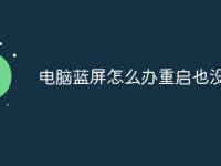 电脑蓝屏怎么办重启也没用-路由网