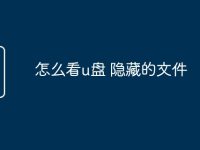 怎么看u盘 隐藏的文件-路由网