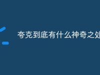 夸克到底有什么神奇之处-路由网