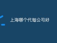 上海哪个代驾公司好-路由网