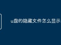 u盘的隐藏文件怎么显示-路由网