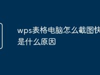 wps表格电脑怎么截图快捷键是什么原因-路由网