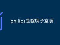 philips是啥牌子空调-路由网