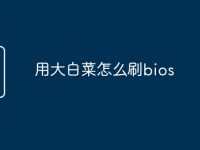 用大白菜怎么刷bios-路由网