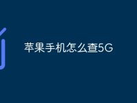 苹果手机怎么查5G-路由网