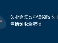 失业金怎么申请领取 失业金申请领取全流程-路由网