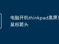 电脑开机thinkpad黑屏只有鼠标箭头-路由网