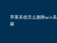 苹果系统怎么删除win系统重装-路由网