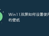 Win11双屏如何设置使用不同的壁纸-路由网