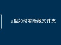 u盘如何看隐藏文件夹-路由网