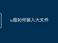 u盘如何装入大文件-路由网