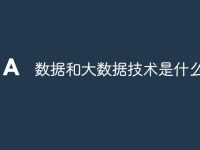 数据和大数据技术是什么-路由网