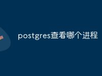 postgres查看哪个进程-路由网
