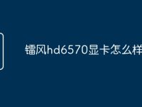 镭风hd6570显卡怎么样-路由网
