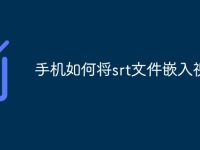 手机如何将srt文件嵌入视频-路由网