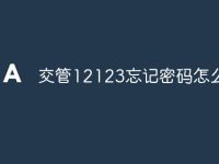 交管12123忘记密码怎么办-路由网