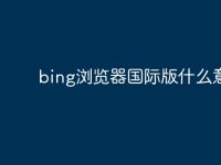 bing浏览器国际版什么意思-路由网