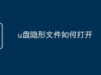 u盘隐形文件如何打开-路由网