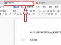 WPS如何设置独立窗口显示?-路由网