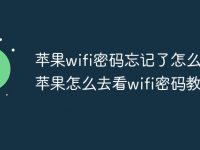 苹果wifi密码忘记了怎么办 苹果怎么去看wifi密码教程-路由网