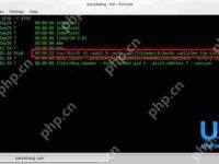 Linux系统登录界面截图方法介绍-路由网