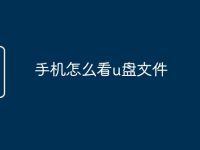 手机怎么看u盘文件-路由网